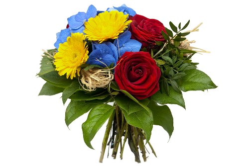 Variety of colorful flowers available for delivery