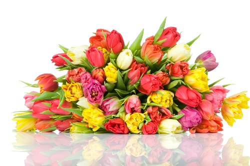 A stunning flower arrangement prepared by a florist