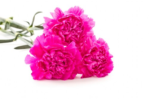 Custom floral arrangement with personalized touches
