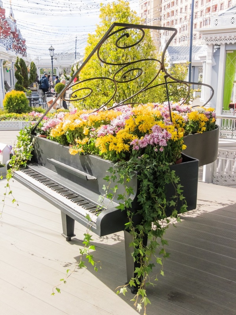 Cultivating Orchids Made Simple and Enjoyable