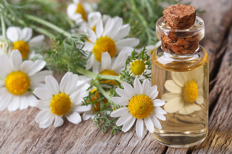 Top 12 Flowers for Arrangements That Stand the Test of Time