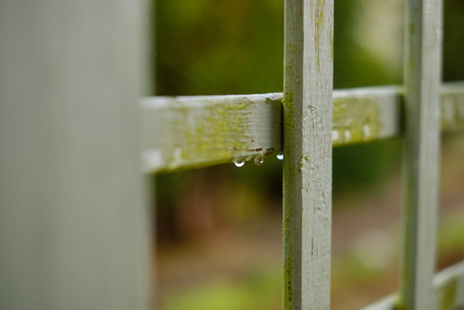 A close-up view of a weathered white wooden fence with visible moss and peeling paint, featuring three small water droplets hanging from a horizontal slat. The background is softly blurred with hints 